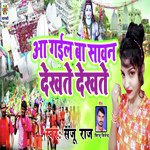 Aa Gail Ba Sawan Dekhte Dekhte