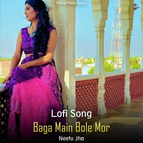 Baga Main Bole Mor - Lofi Song