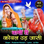Bagho Ri Koyal Udd Jasi