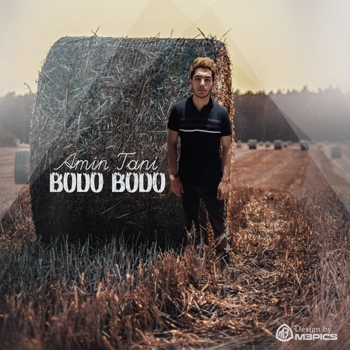 Bodo Bodo_poster_image