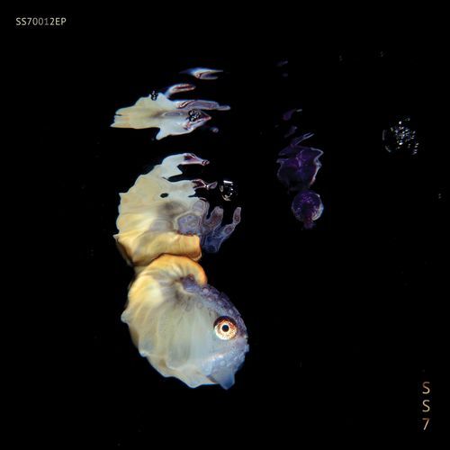 Peephole cover art