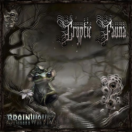 Nocturnal Fauna