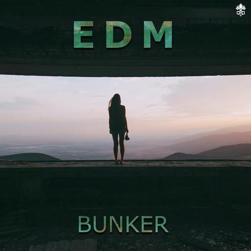 EDM Bunker