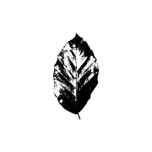 Physis [Breast And Vulture] cover art