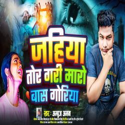 Jahiya Tor Gari Maro Bas Goriya