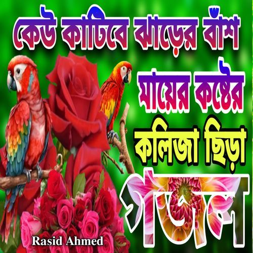 Kew Katibe Jharer Bash