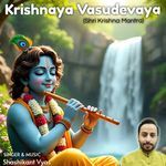 Krishnaya Vasudevaya (Shri Krishna Mantra)
