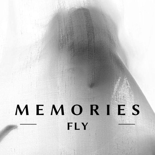 Memories Fly_poster_image