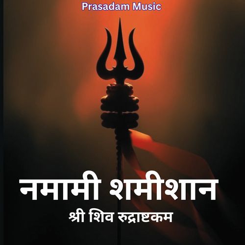 Namami Shamishan