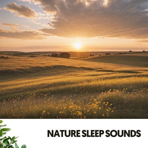 Nature Sleep Sounds: Lullabies of the Wild_poster_image