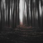 Path of Sorrow
