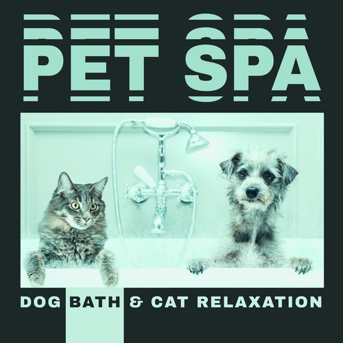 Oasis for Animals cover art