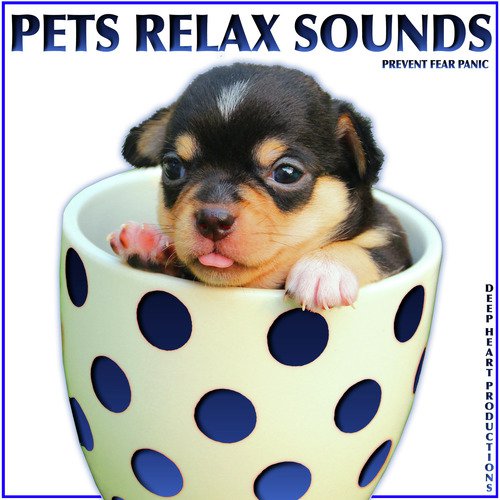 Music to Relax Young Doggie (Heart Beats Sound Effect) cover art