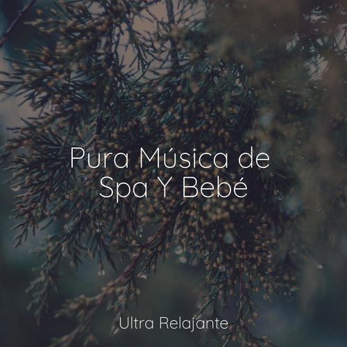 Pura Música de Spa Y Bebé