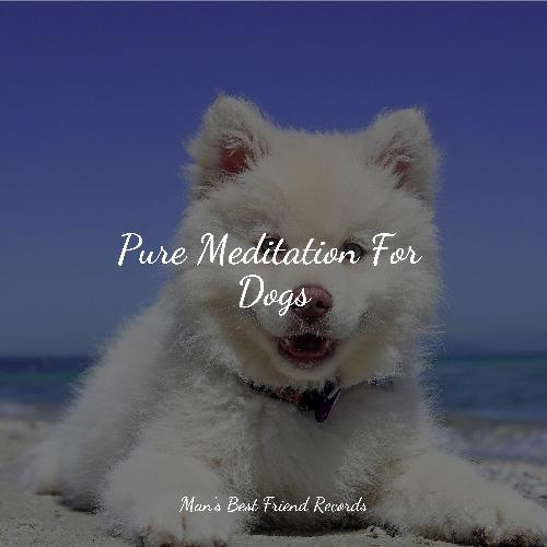 Pure Meditation For Dogs