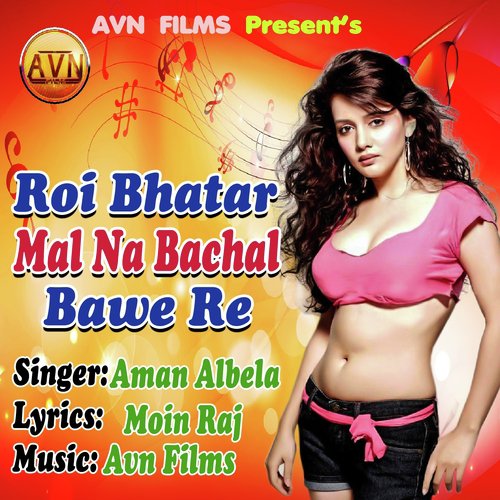 Roi Bhatar Mal Na Bhachal Bawe Re_poster_image