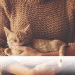 Divination des Vibrations de Détente de la Terre