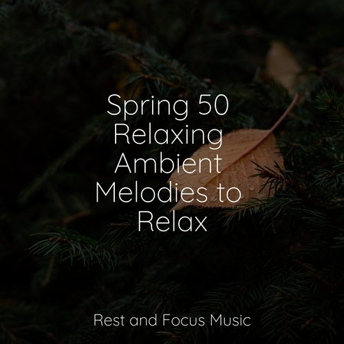 Spring 50 Relaxing Ambient Melodies to Relax