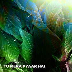 Tu Mera Pyaar hai-KQsFQgdGYVU