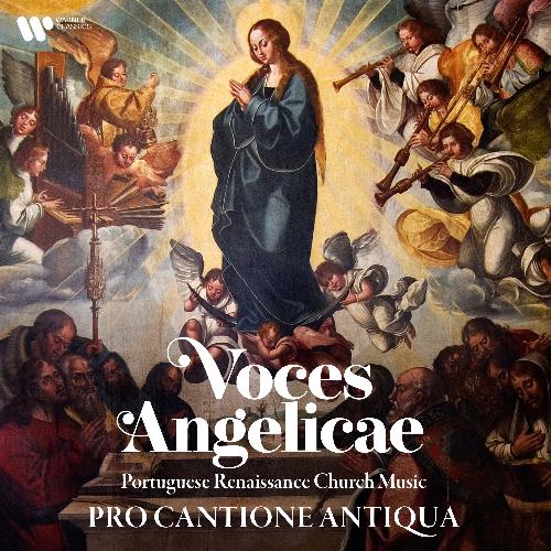 Voces angelicae. Portuguese Renaissance Church Music_poster_image