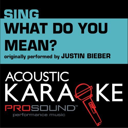 What Do You Mean (Originally Performed by Justin Bieber) [Karaoke Version]
