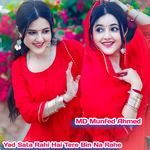 Yad Sata Rahi Hai Tere Bin Na Rahe