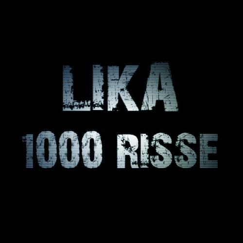 1000 Risse_poster_image