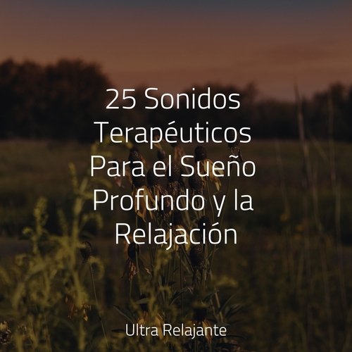 25 Sonidos Terapéuticos Para el Sueño Profundo y la Relajación_poster_image