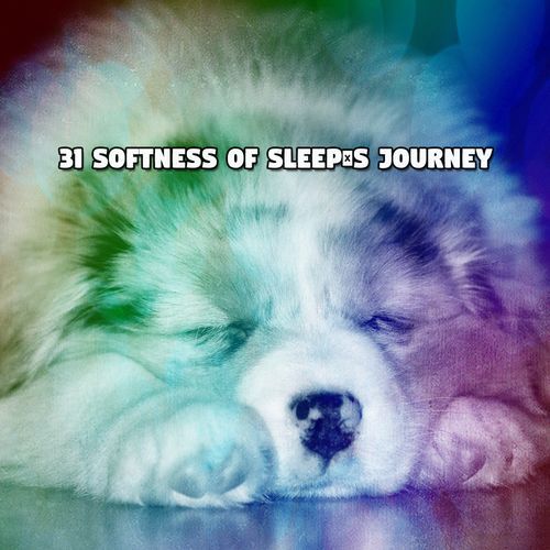 31 Softness of Sleep's Journey_poster_image