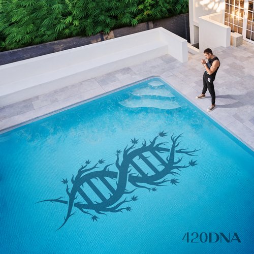 420DNA_poster_image