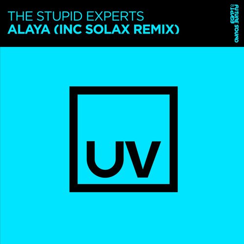 Alaya (Solax Remix) cover art