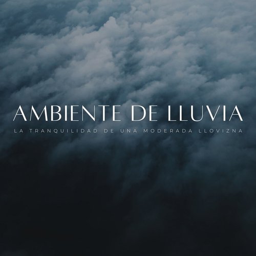 Ambiente De Lluvia: La Tranquilidad De Una Moderada Llovizna