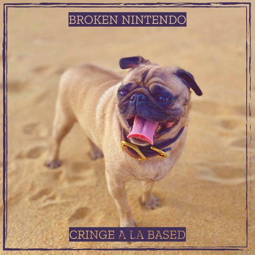 Broken Nintendo cover art