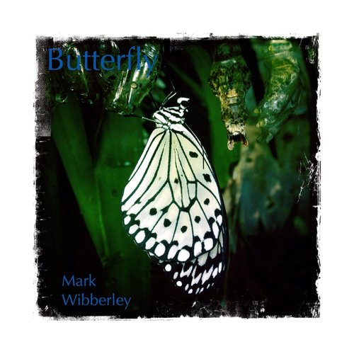 Littlecombe Groove cover art
