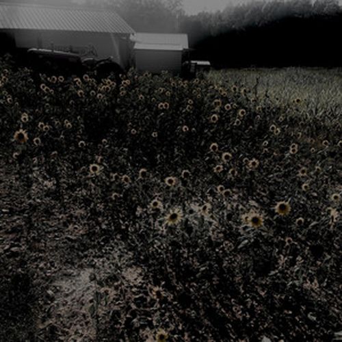 Mystery Girl cover art