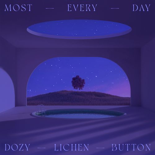 Lichen Button (Bcalm Remix) cover art