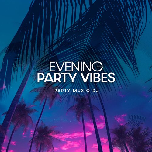 Evening Party Vibes_poster_image