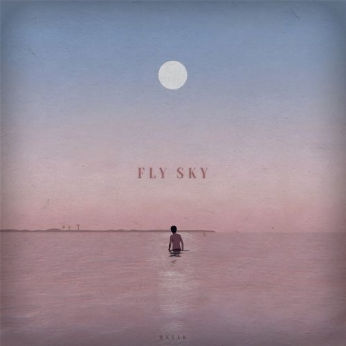 Fly sky_poster_image