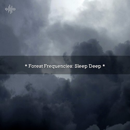 Ambient Nature Sounds cover art