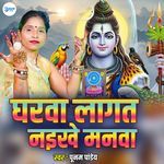 Gharwa Lagat Naikhe Manwa