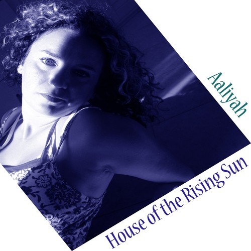 House of the Rising Sun (Acoustic Guitar Version)_poster_image