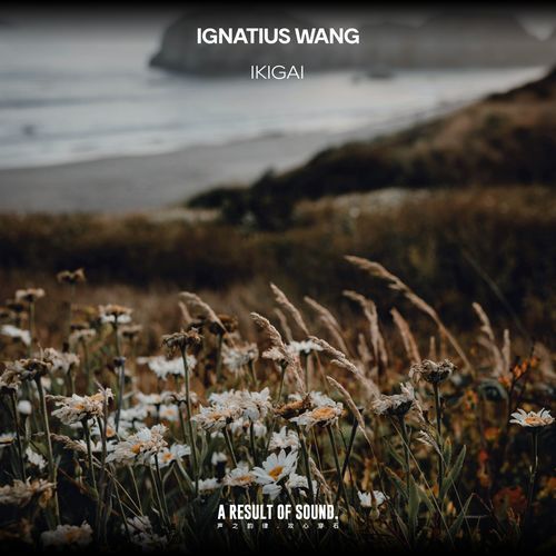Ikigai (Extended Mix)
