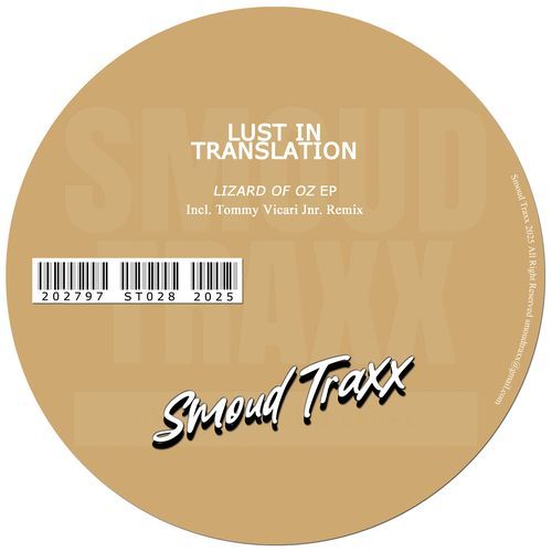 Lizard of Oz (Tommy Vicari Jnr Remix) cover art