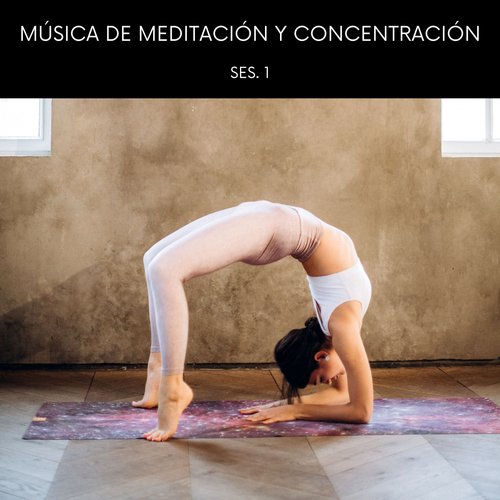Meditación Budista cover art