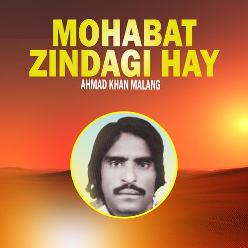 Mohabat Zindagi Hay