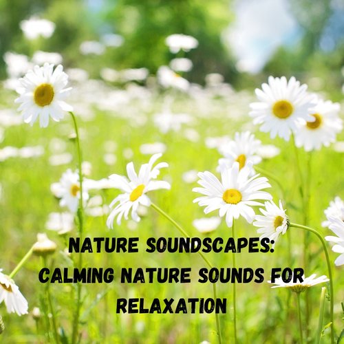 Nature Soundscapes: Calming Nature Sounds for Relaxation_poster_image