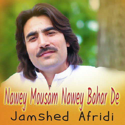 Nawey Mousam Nawey Bahar De_poster_image