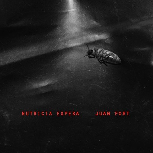 Poema Electrónico cover art