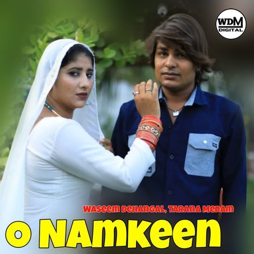 O Namkeen