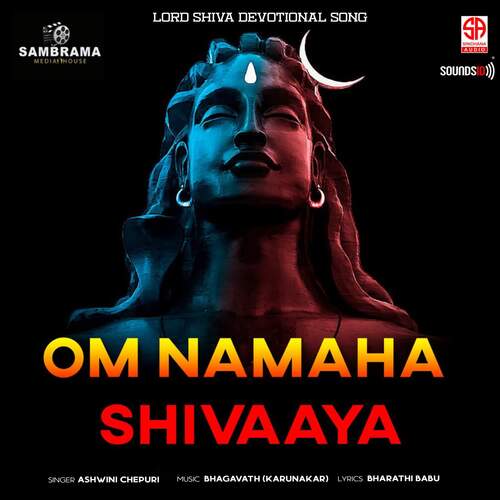 Om Namaha Shivaaya